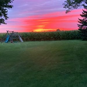 Meet your Posher, Shane